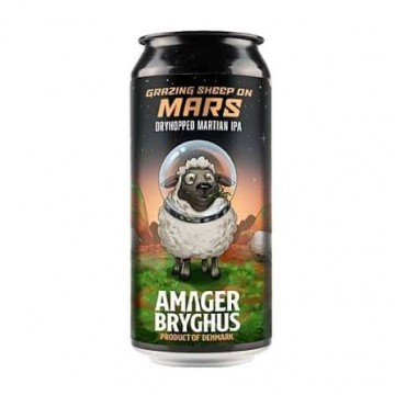 AMAGER GRAZING  SHEEP ON...